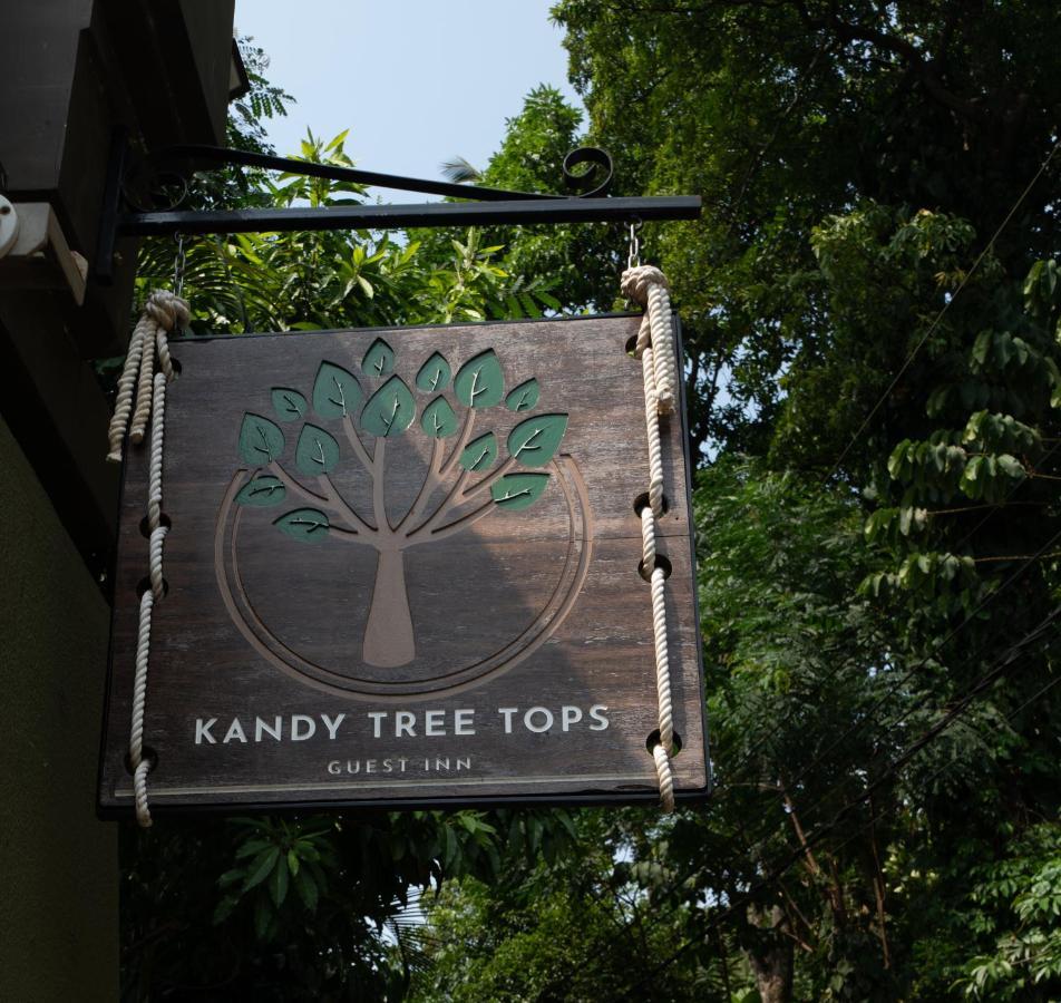 Kandy Tree Tops 외부 사진