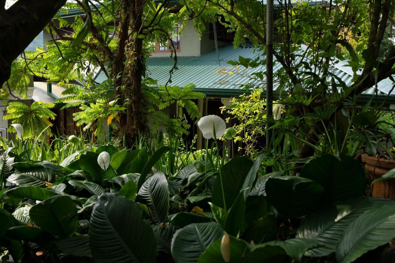 Kandy Tree Tops 외부 사진