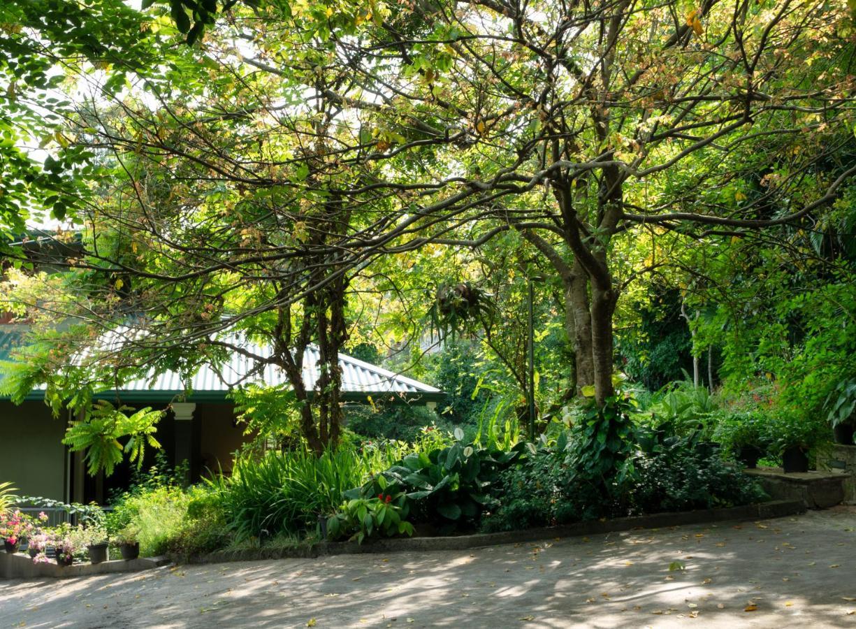 Kandy Tree Tops 외부 사진